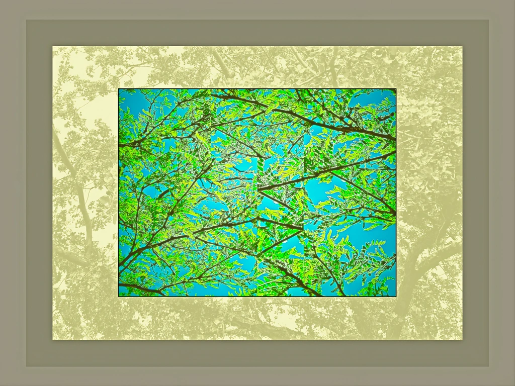 bright green spring leaves