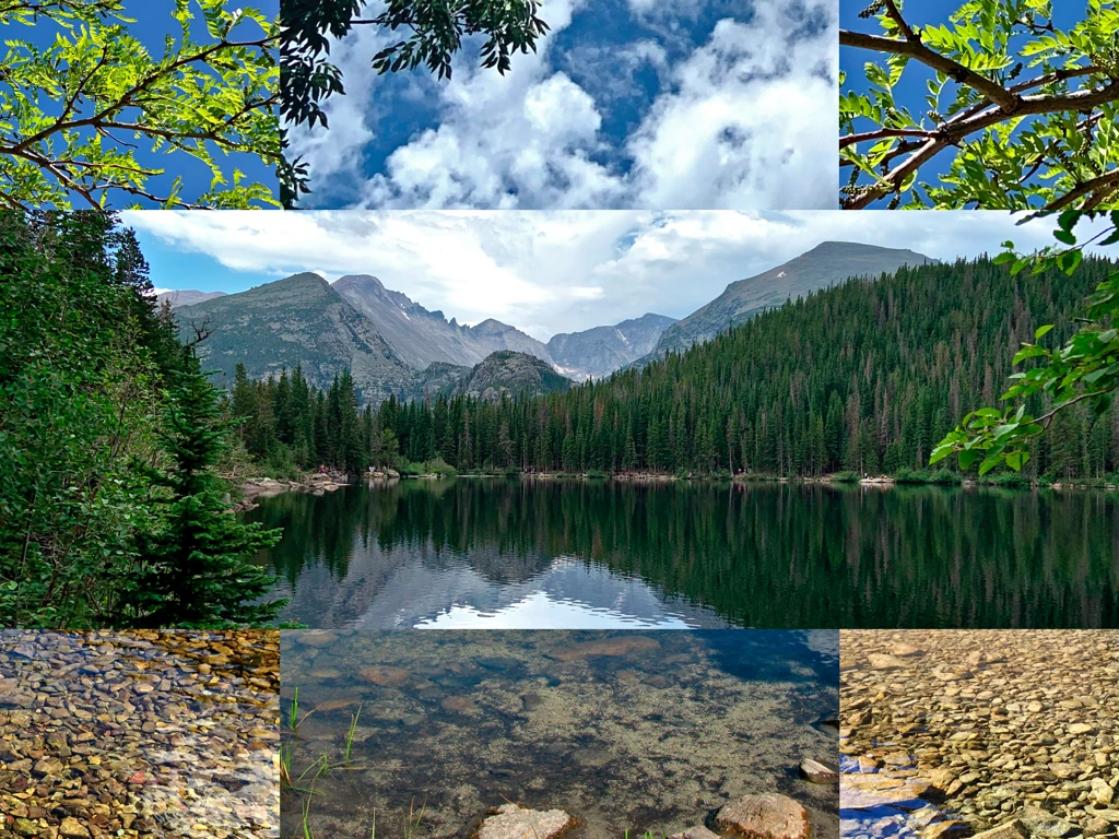 trees around mountain lake